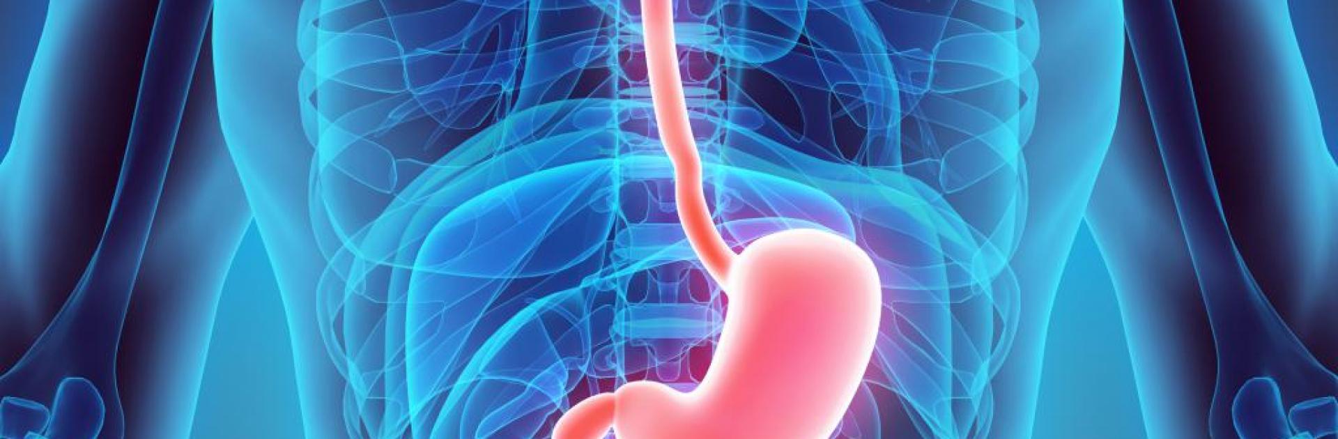 Gastroenterologie Asklepion Karlovy Vary: prevence, léčba i hubnutí bez dlouhého čekání