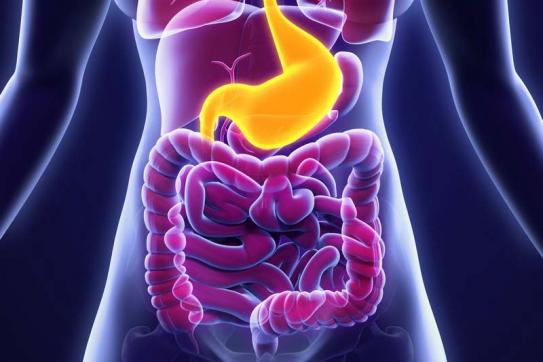 Gastroenterologie: Prevence, léčba i hubnutí